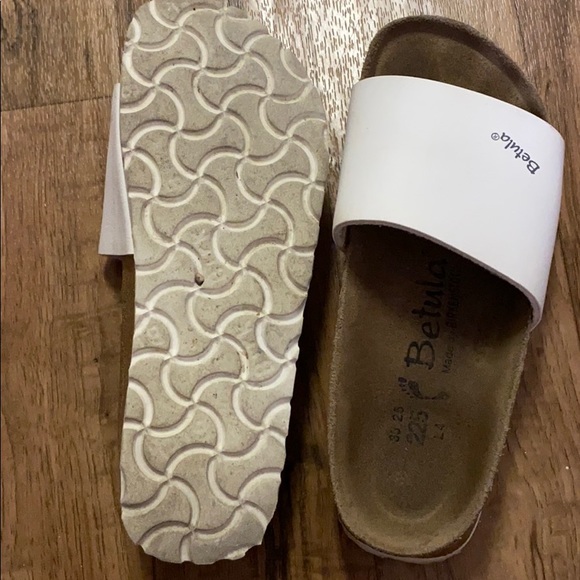 Betula - Picture 2 of 3